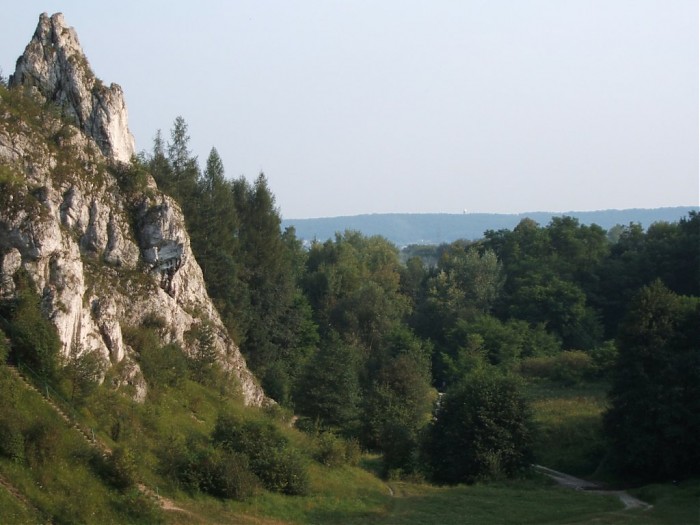 Polana pod Żabim Koniem