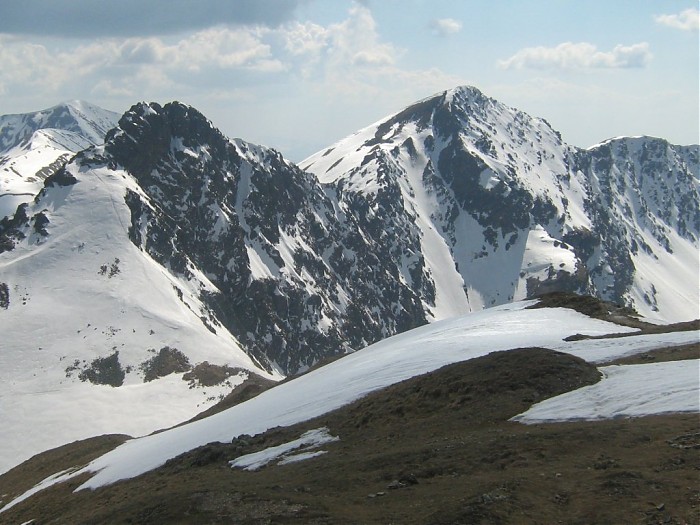 Rohacze