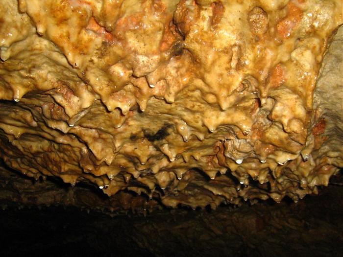 "Raczkujące" stalaktyty 2