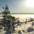 Panorama Tatr z Babiej Góry